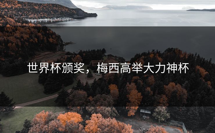 世界杯颁奖,梅西高举大力神杯 世界杯颁奖,梅西高举大力神杯