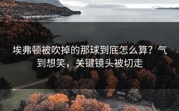 埃弗顿被吹掉的那球到底怎么算？气到想笑，关键镜头被切走
